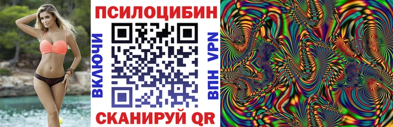 наркошоп  Тимашёвск  Псилоцибиновые грибы Cubensis 